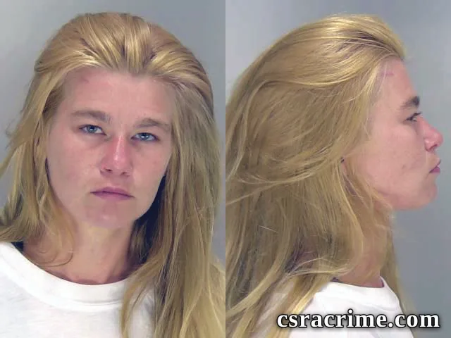 Kathy Hunt booking photo