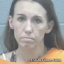 Katie Anderson booking photo