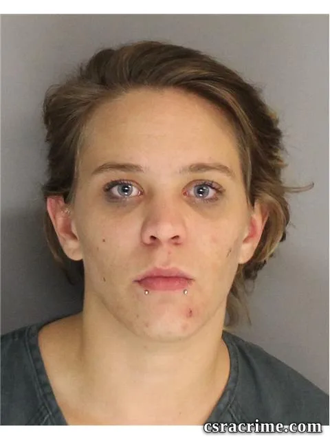 Katie Hoots booking photo