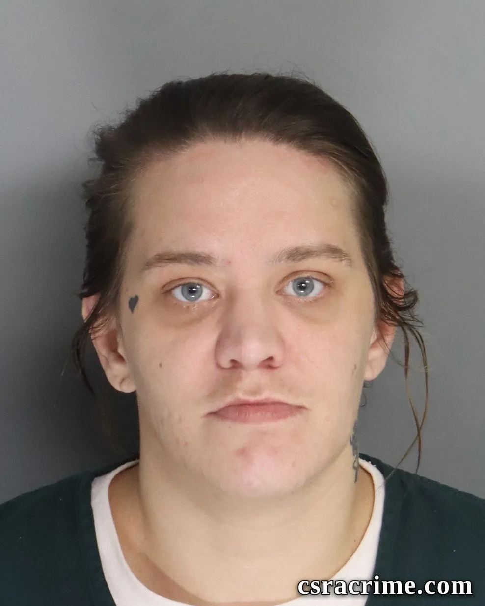 Katie Hoots booking photo