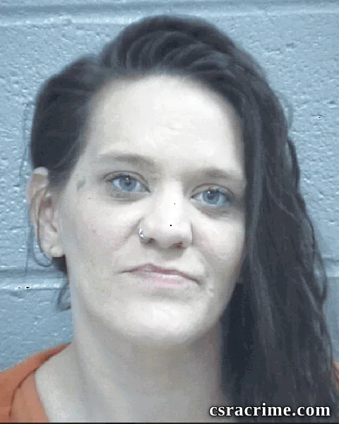 Katie Hoots booking photo