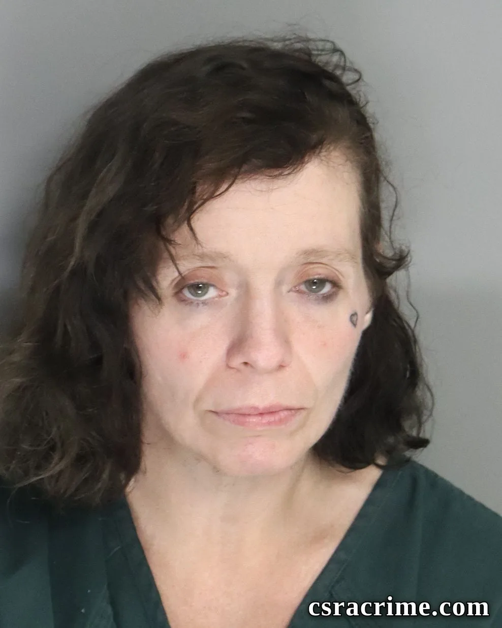 Katie Smith booking photo