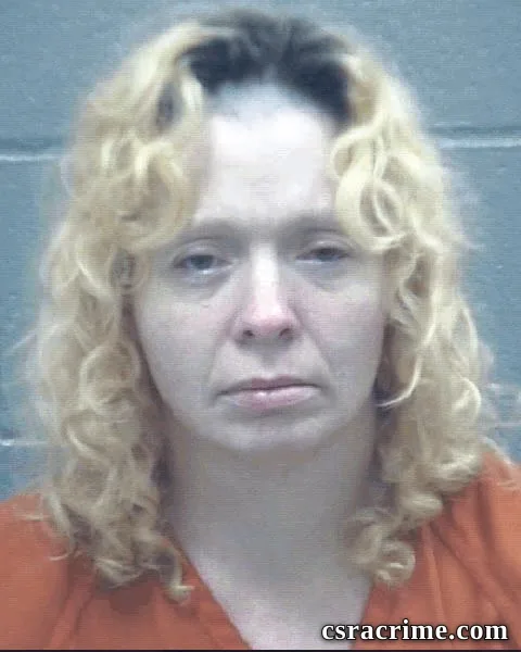 Katie Smith booking photo