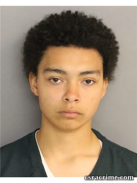 Kayla Moore booking photo
