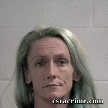 Kayla Susan Raulerson booking photo