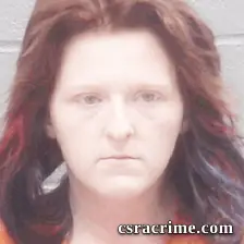 Kelli Wilkey booking photo