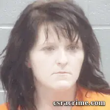 Kelli Wilkey booking photo