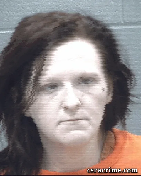 Kelli Wilkey booking photo