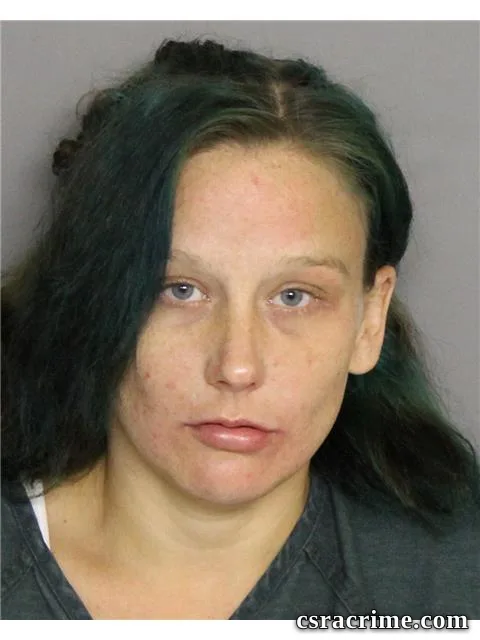 Kellie Collins booking photo