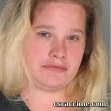 Kelly Jenkins booking photo