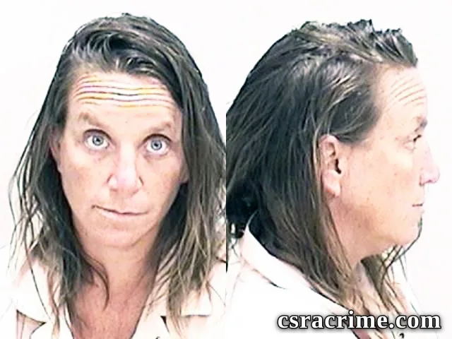 Kelly Mcburney booking photo