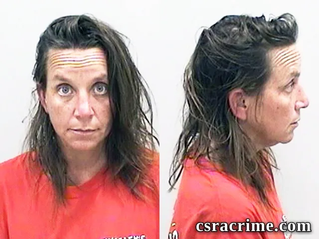 Kelly Mcburney booking photo