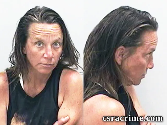 Kelly Mcburney booking photo