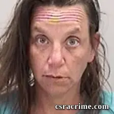 Kelly Noel Mcburney booking photo