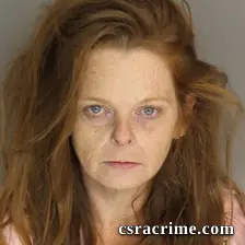 Kelly Oliver booking photo