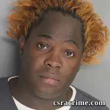 Kenneth Fannings booking photo