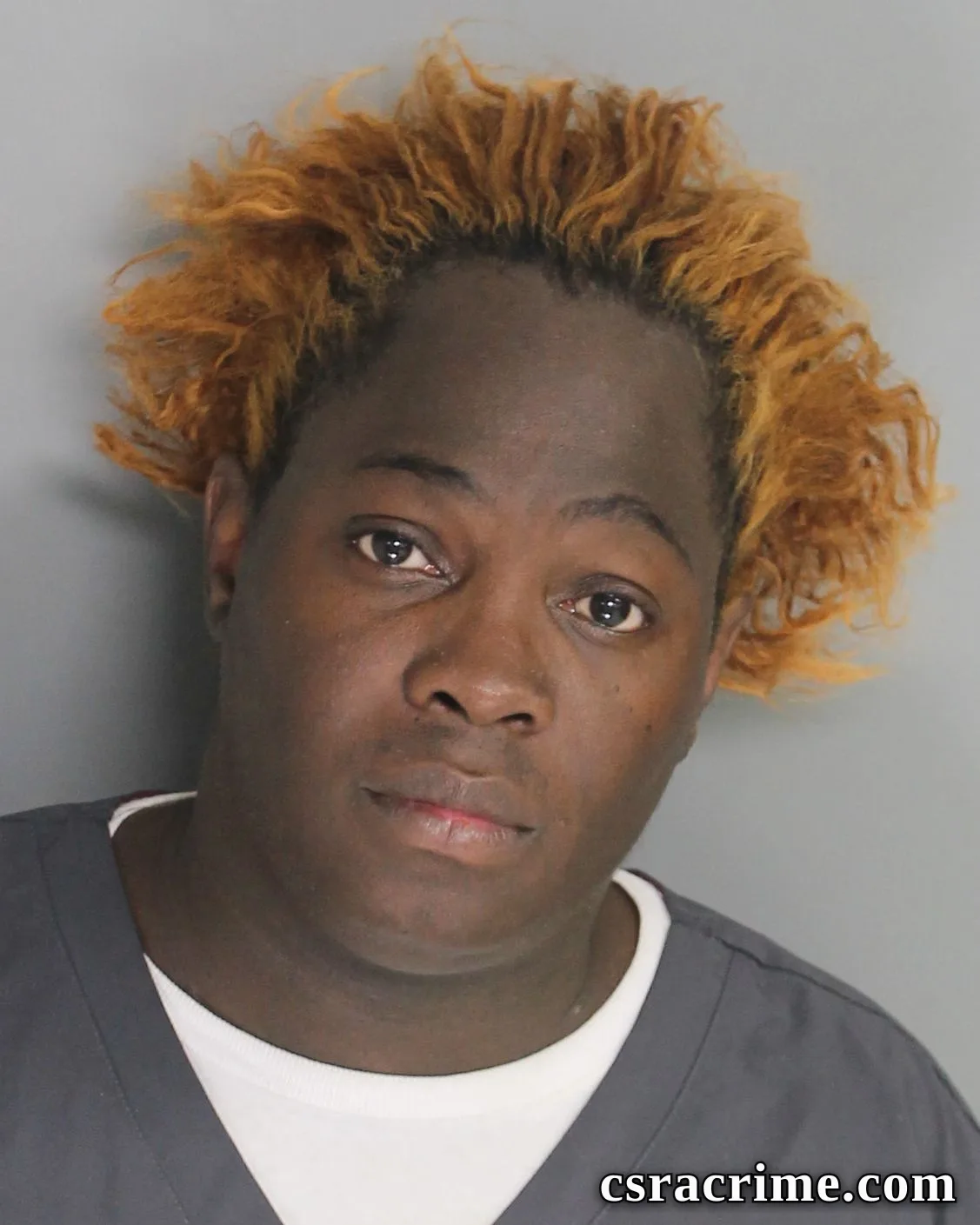 Kenneth Fannings booking photo