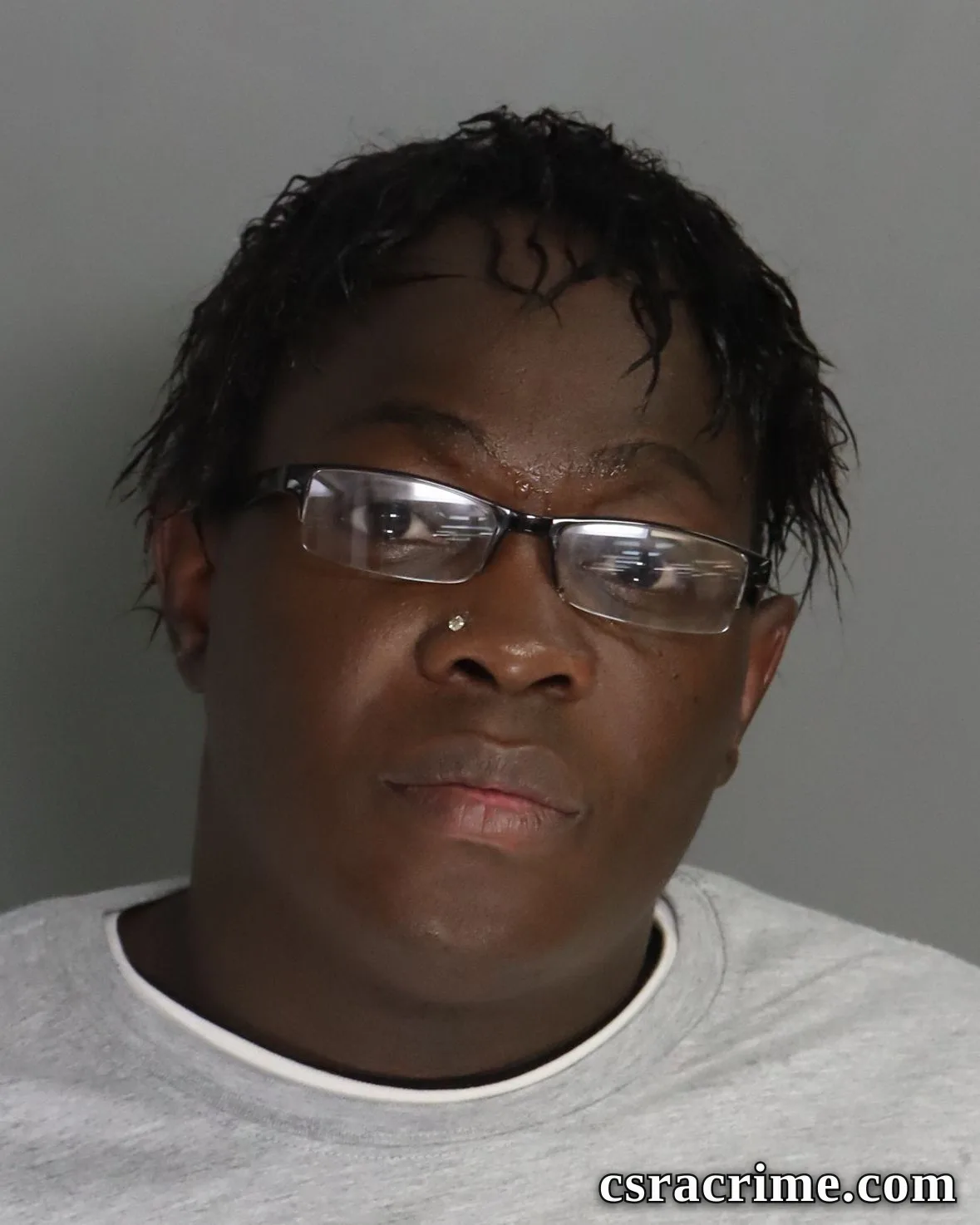 Kenneth Fannings booking photo