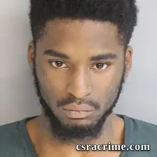 Keshawn Copeland Walker booking photo
