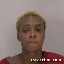 Keshayla Dashail Williams booking photo