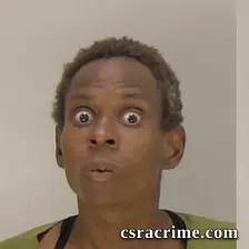 Keshia Gibson booking photo