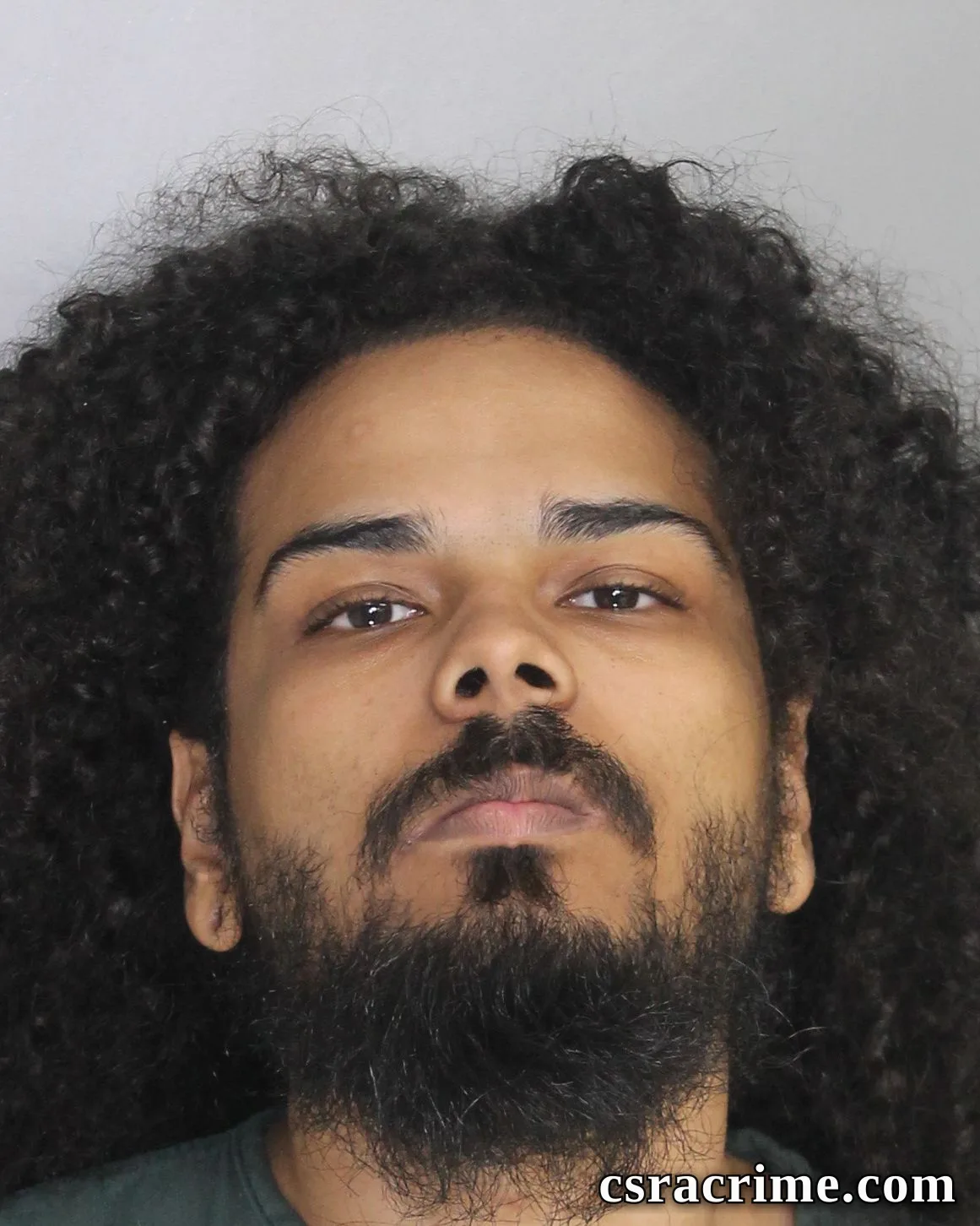 Kevin Johnson II booking photo