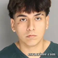 Kevin Trueba booking photo