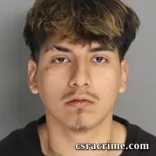 Kevin Trueba booking photo