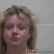 Khristin Nicole Ansley booking photo