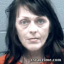 Kimberly Johnson booking photo