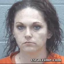 Kimberly Wilcox booking photo