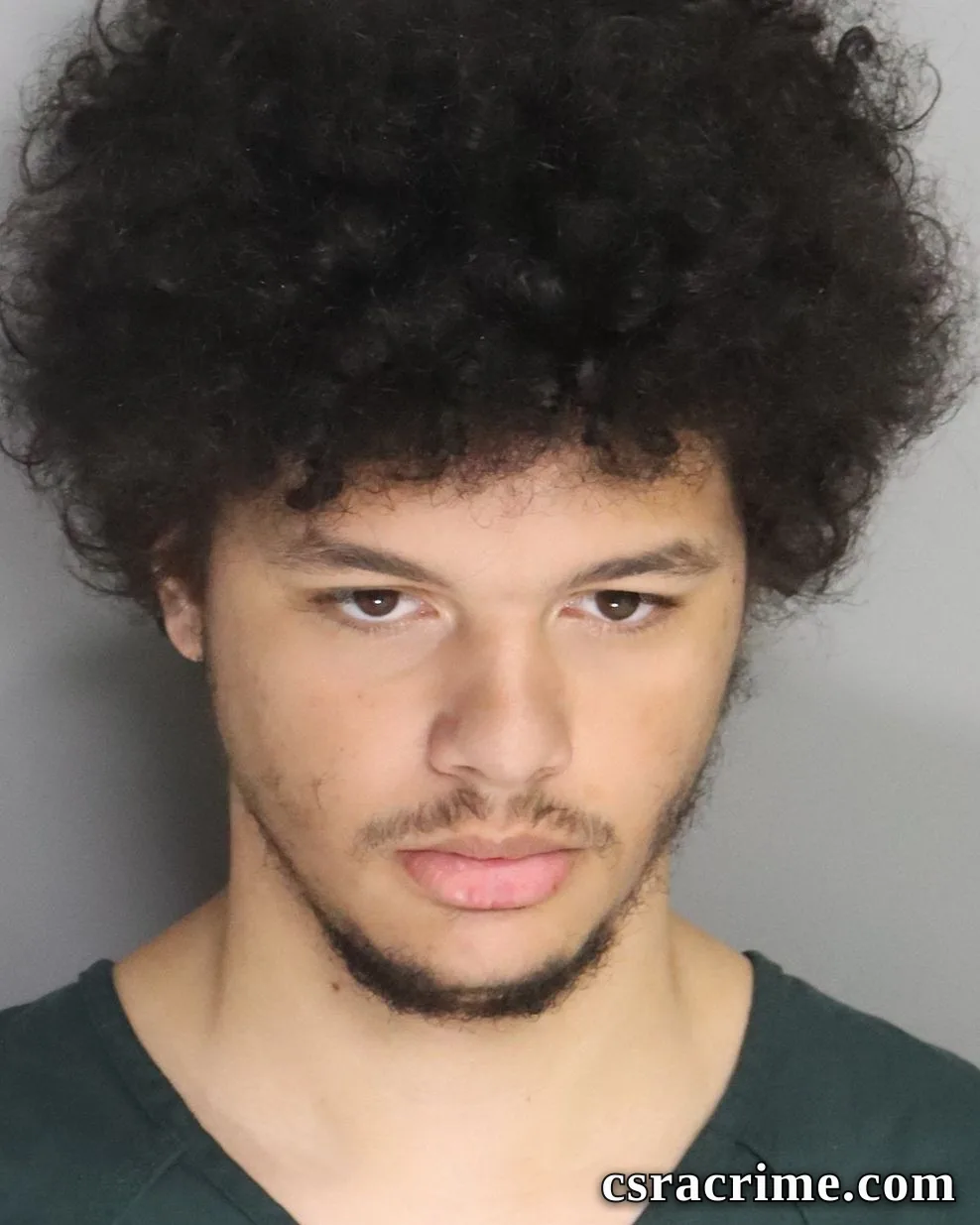 Kingston Harmon booking photo