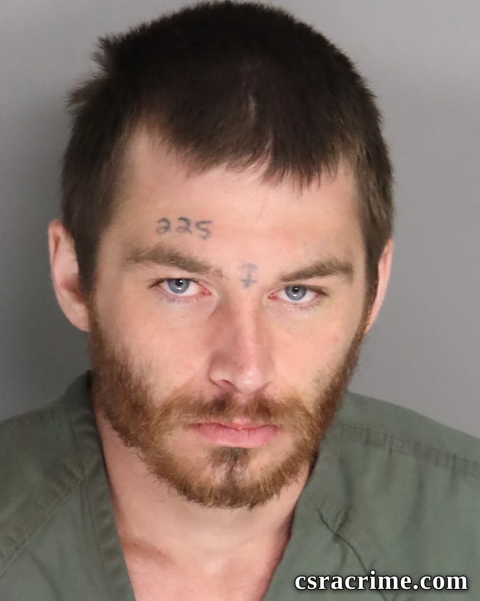 Kolbe Duplessis booking photo