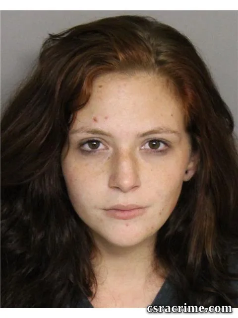Krista Smart booking photo