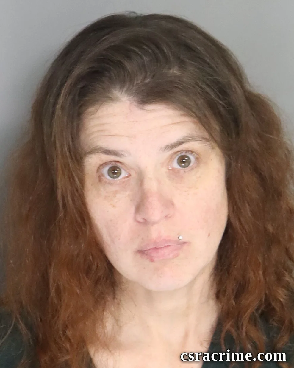 Kristie Jowers booking photo