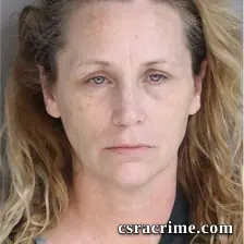Kristie Wise Scott booking photo