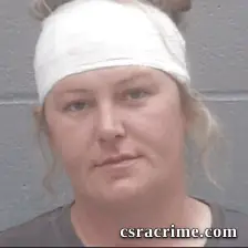 Kristin Hartley booking photo