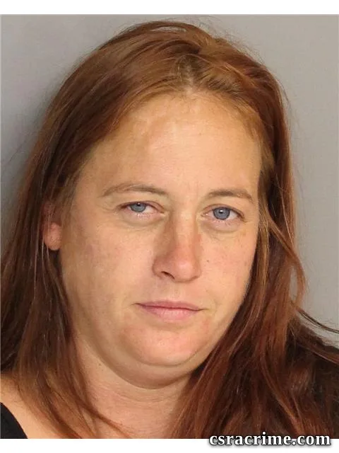 Kristin Hudson booking photo