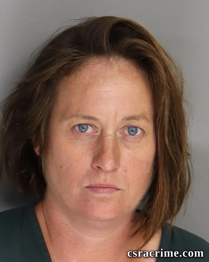 Kristin Hudson booking photo