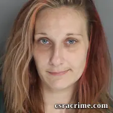 Kristin Savage booking photo