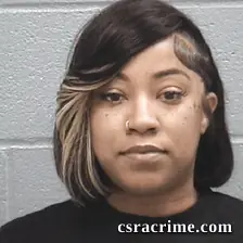 Kristin Williams booking photo