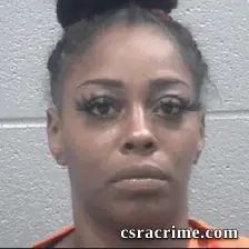 Kristina Howard booking photo