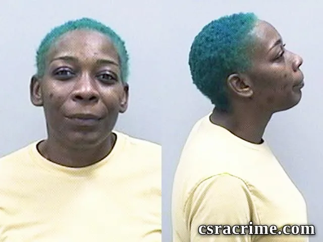 Kristina Mcneil booking photo
