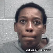 Kristina Mcneil booking photo