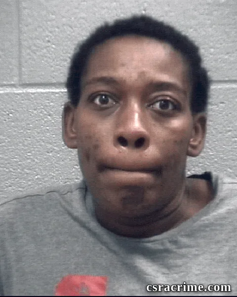Kristina Mcneil booking photo