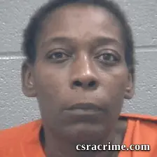 Kristina Mcneil booking photo