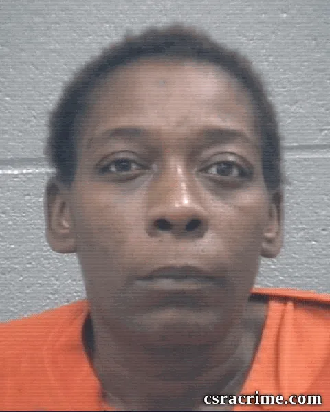 Kristina Mcneil booking photo