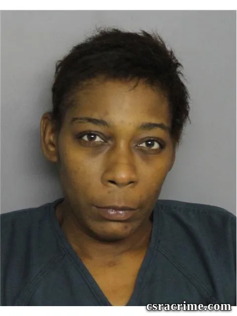 Kristina Mcneil booking photo