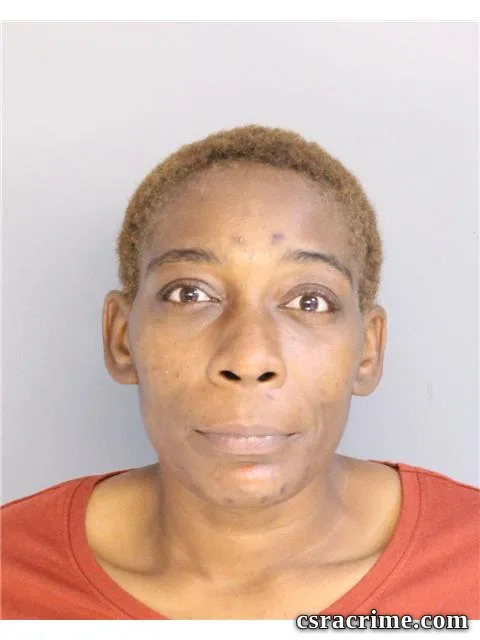 Kristina Mcneil booking photo
