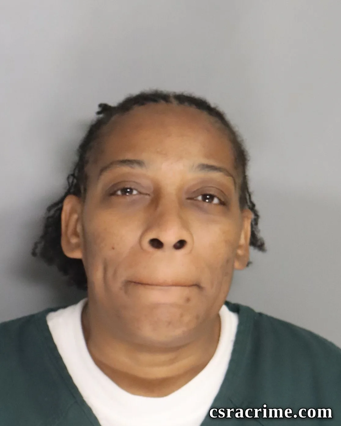 Kristina Mcneil booking photo